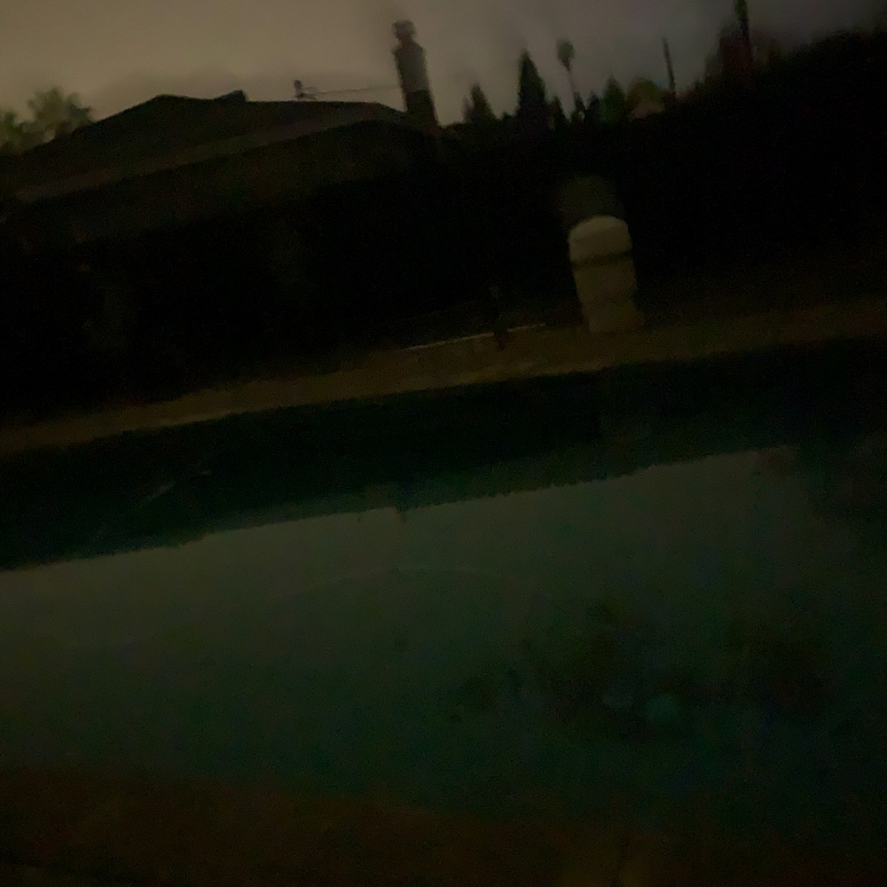 Meet your Posher, Lilly